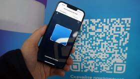 Чем сканировать QR-код в Мария