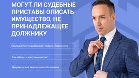 Что делать, если у должника нет имущества в Мария