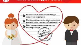 Что может содержать брачный договор в Мария