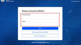 Что такое первичная декларация в налоговой в Мария