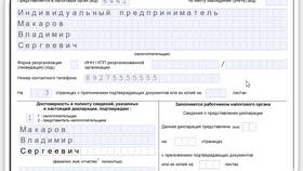 Что указывается в декларации УСН в Мария