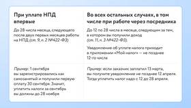 Что входит в доход самозанятого в Мария
