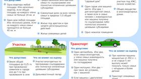 Что за выплаты в 2025 году в Мария