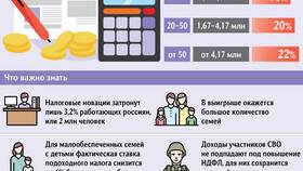 Главные функции налогов в экономической системе в Мария