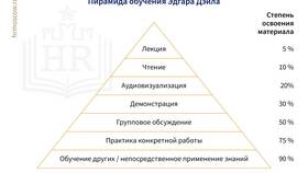 Как эффективно обучать продавцов: методики и практические советы в Мария