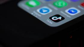 Как написать в службу поддержки TikTok в Мария