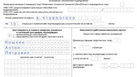 Как подать налоговую декларацию в электронном виде в Мария