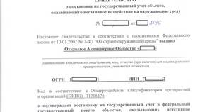 Как подать заявление в РТН через Госуслуги в Мария