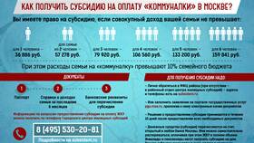 Как получить государственную субсидию в Мария