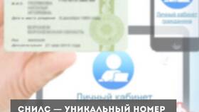Как получить СНИЛС через МФЦ: необходимые документы и процедура в Мария