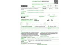 Как правильно предъявлять электронный полис ОСАГО инспектору ГИБДД в Мария