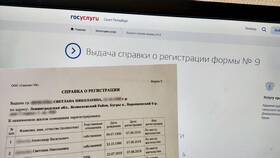 Как скачать справку через портал «Госуслуги» в Мария
