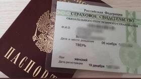 Как узнать СНИЛС человека по паспорту в Мария