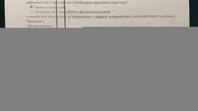 Как вернуть деньги за страховой полис в Мария