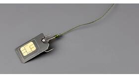 Количество SIM-карт для Госуслуг в Мария