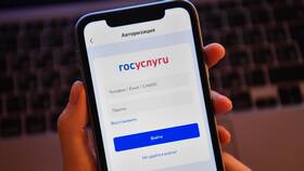 Почему на Госуслуги не приходит результат в Мария