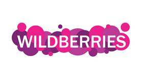 Причины проблем с входом на Wildberries в Мария