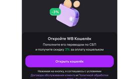 Способы оплаты на Wildberries в Мария
