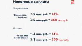 За что получают налоговые выплаты в Мария