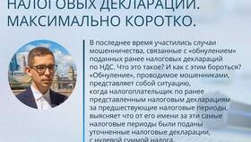 Зачем указывать в декларации в Мария